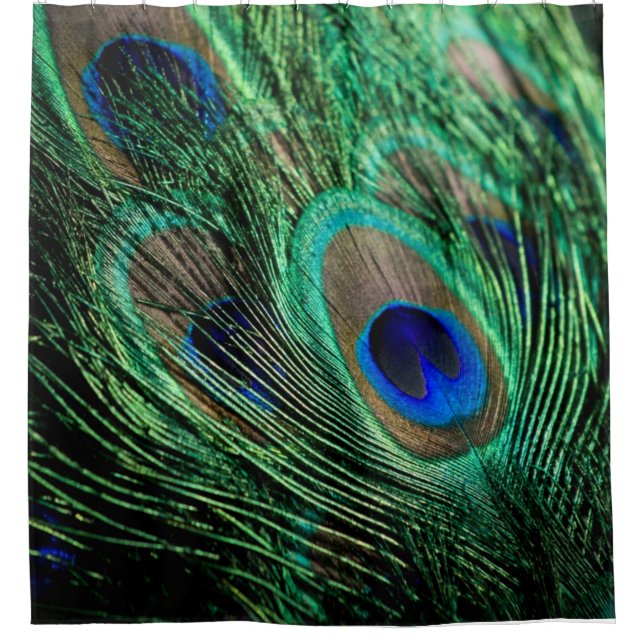 Peacock Feather Lucky Shower Curtain (Front)
