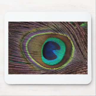 peacock feather mouse pad
