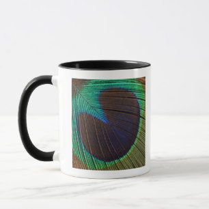 Peacock feather mug