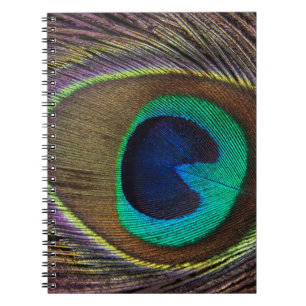 peacock feather notebook