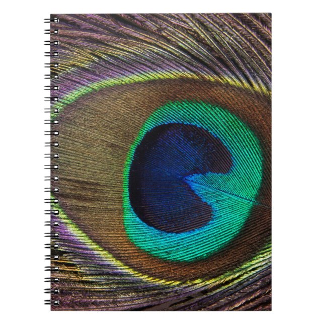 peacock feather notebook (Front)