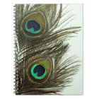 Peacock Feather Notebook