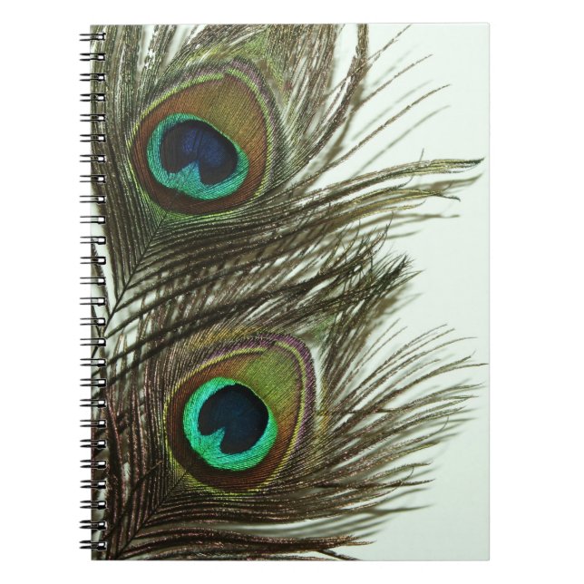Peacock Feather Notebook (Front)