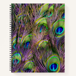 Peacock Feather Notebook
