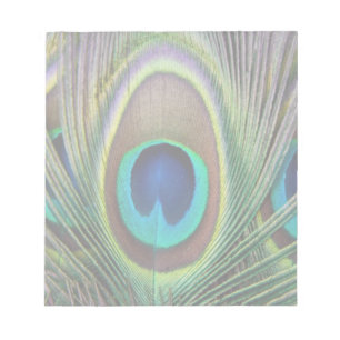 Peacock feather notepad