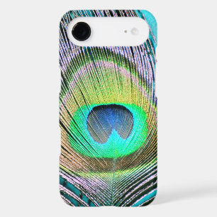 Peacock Feather on Turquoise