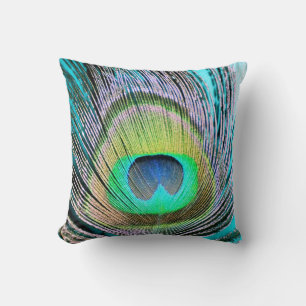 Peacock Feather on Turquoise Cushion