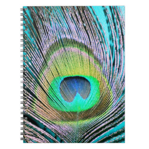Peacock Feather on Turquoise Notebook