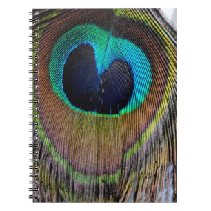Peacock Feather Photograph Notebook