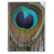 Peacock Feather Photograph Notebook