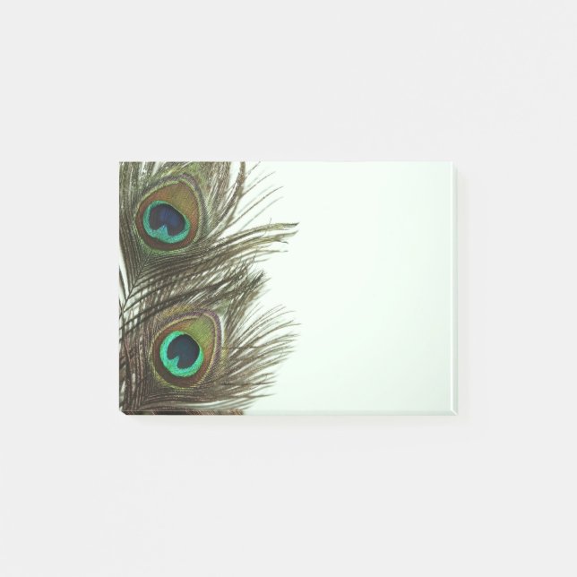 Peacock Feather Post-It Notes (Front)