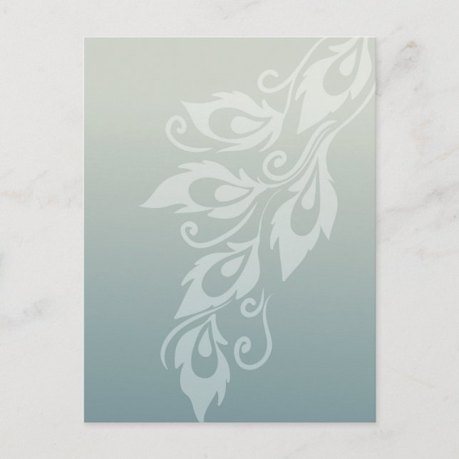 Peacock Feather Postcard (Front)