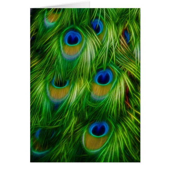 Peacock Feather Print (Front)