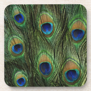 Peacock Feather Print Coaster