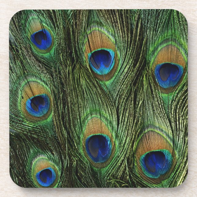 Peacock Feather Print Coaster (Front)