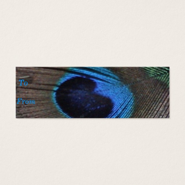 Peacock Feather Profile Card (Front)