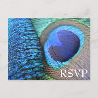 Peacock Feather RSVP Postcard