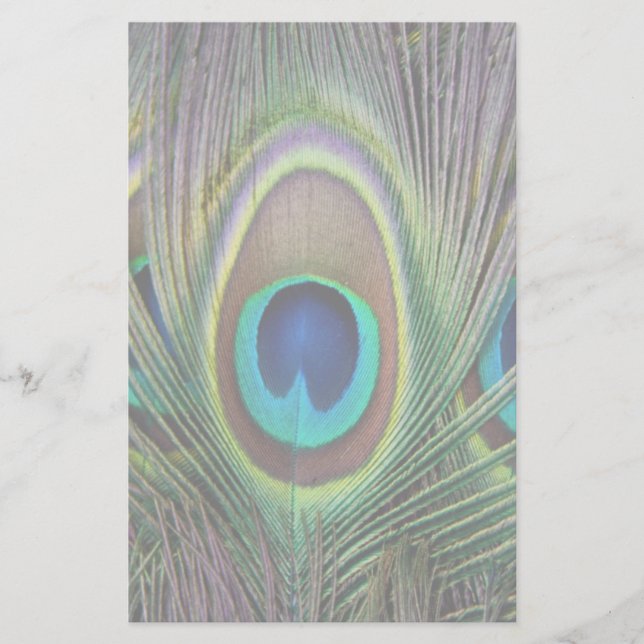 Peacock feather stationery (Front)