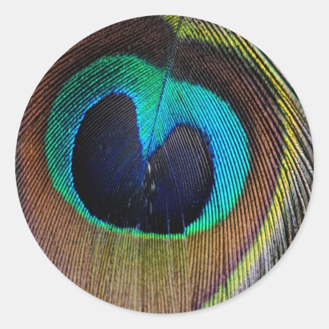 Peacock Feather Stickers (Front)