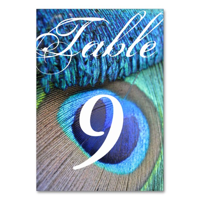Peacock Feather Table Number cards (Back)