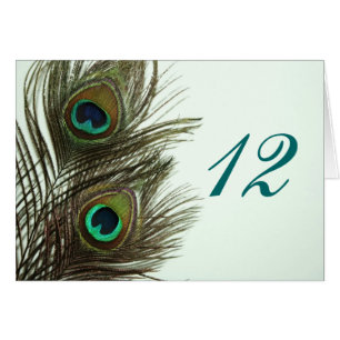 Peacock Feather Table Numbers