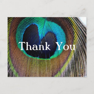 Peacock Feather Thank You Post Cards