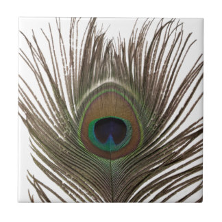 Peacock feather tile