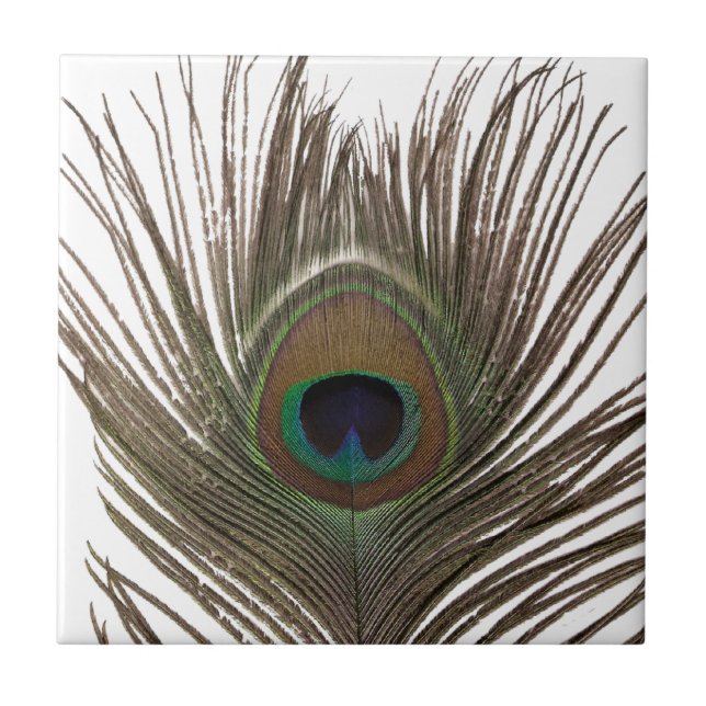 Peacock feather tile (Front)
