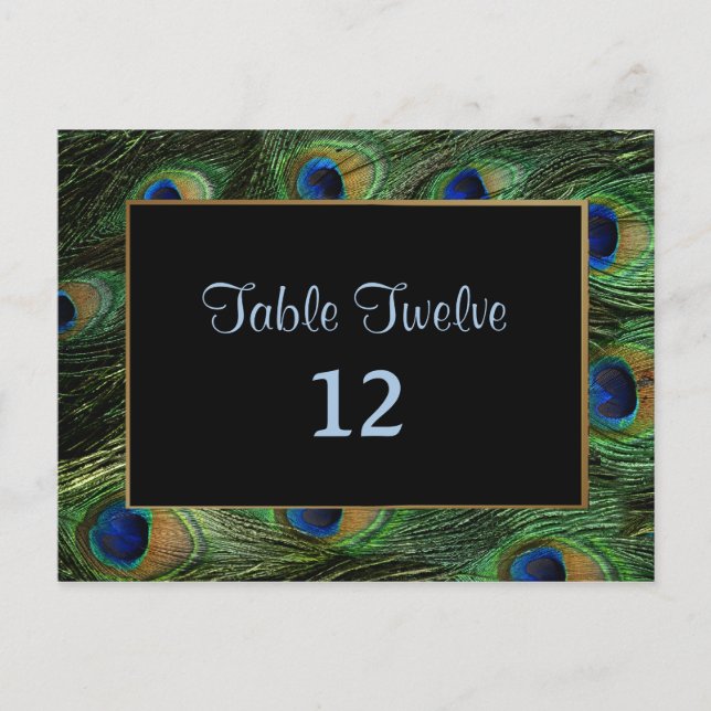 Peacock Feather Wedding Table Seating Number Postcard (Front)