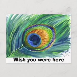 peacock feather, Wish you were here Postcard