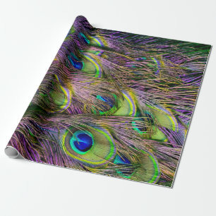 Peacock Feather Wrapping Paper