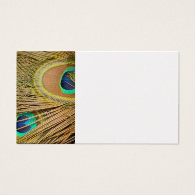 Peacock Feathers (Front)