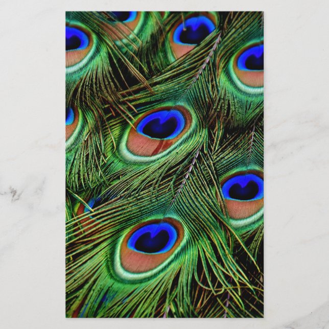 Peacock Feathers (Front)