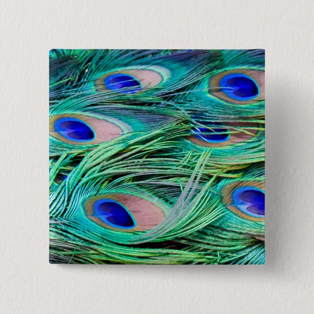 Peacock Feathers 15 Cm Square Badge (Front)