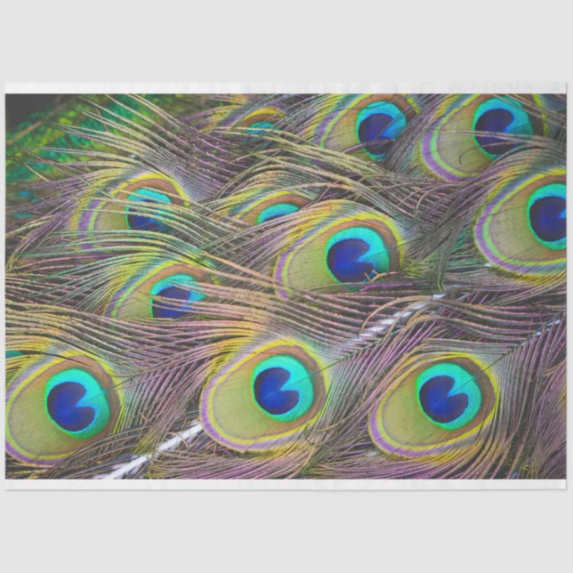 Peacock Feathers 1 Decoupage Tissue Paper (Front)