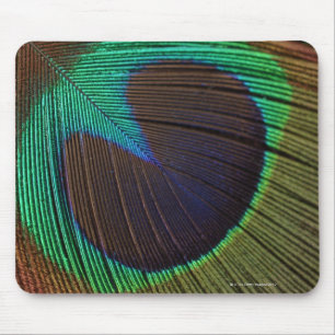 Peacock feathers 3 mouse pad