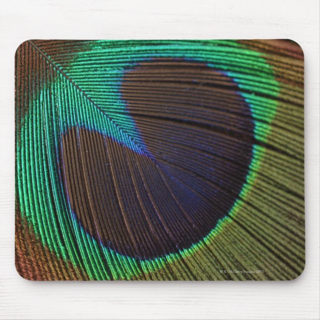 Peacock feathers 3 mouse pad (Front)
