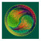 Peacock Feathers 3 Yin Yang Poster