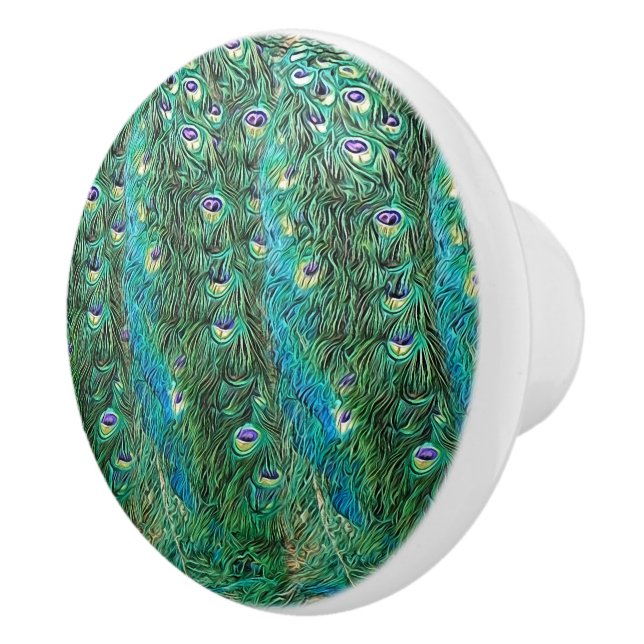 Peacock feathers, abstract - pattern in acrylic   ceramic knob (Right)
