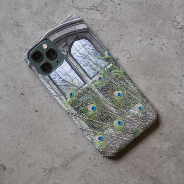 Peacock Feathers and Gothic Windows Photo (In Situ)