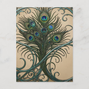 Peacock Feathers Art Nouveau Ornate Teal Frame Postcard