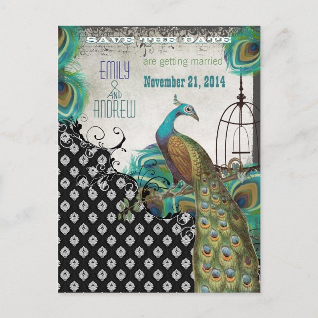 Peacock Feathers Birdcage Save the Date Announcement Postcard (Front)