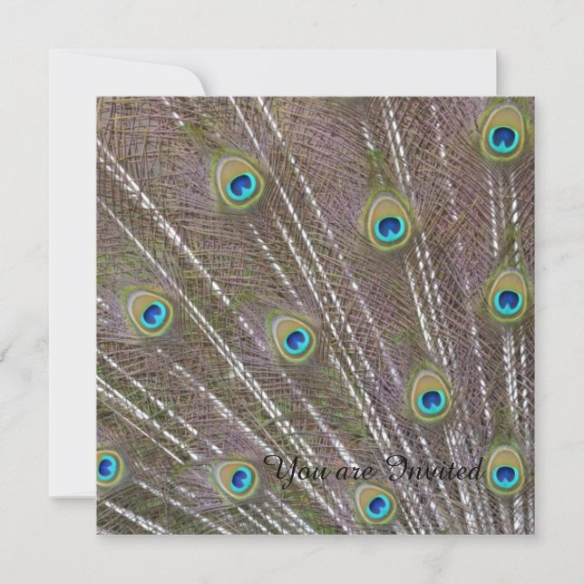 Peacock Feathers Birthday Invitation (Front)