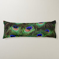 Peacock Feathers Blue Teal Photography Accent Pill