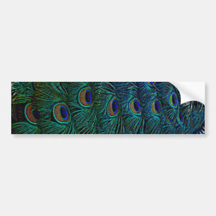Peacock Feathers Bumper Sticker
