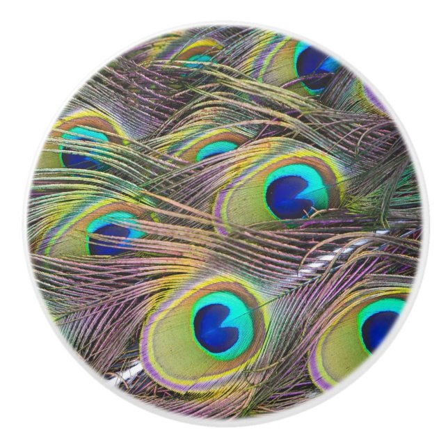 Peacock Feathers Ceramic Knob (Front)