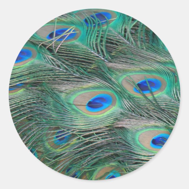 Peacock Feathers Classic Round Sticker (Front)