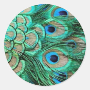 PEACOCK FEATHERS CLASSIC ROUND STICKER