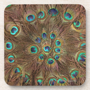 Peacock feathers coaster