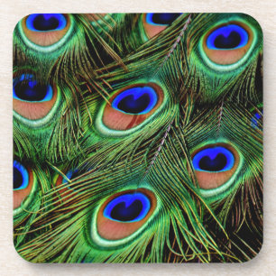 Peacock Feathers Coaster